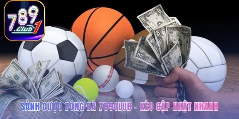 Sảnh bóng đá quy tụ mọi trận cầu đỉnh cao với kèo cập nhật nhanh